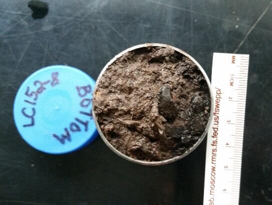 USGS, New Mexico Water Science Center