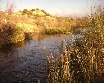 Pecos River, NMWSC