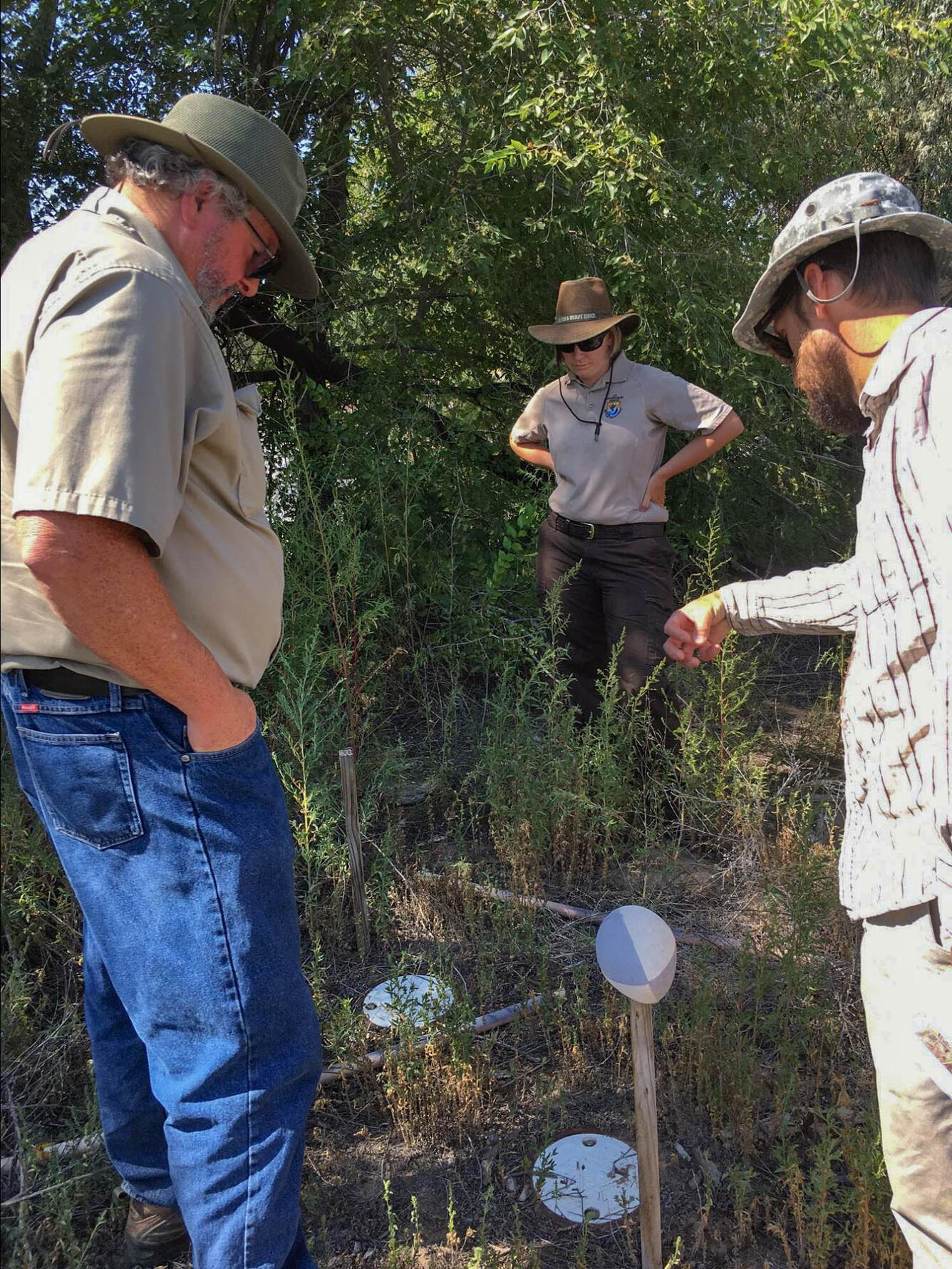 Monitoring wells at Valle de Oro National Wildlife Refuge