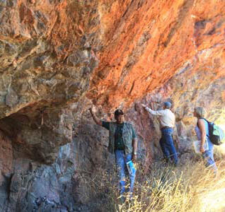 Staff conducting field work