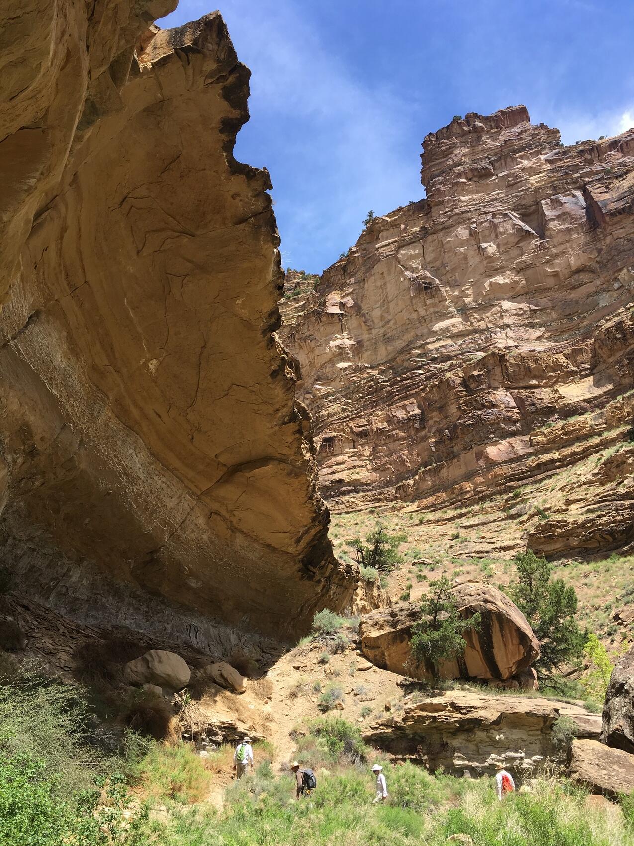 Color photograph of Cedar Ridge canyon in Desolation Canyon along Green River, UT
