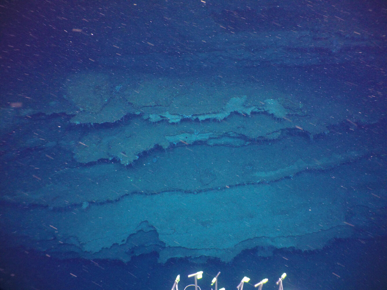 ledge features at Stetson Banks