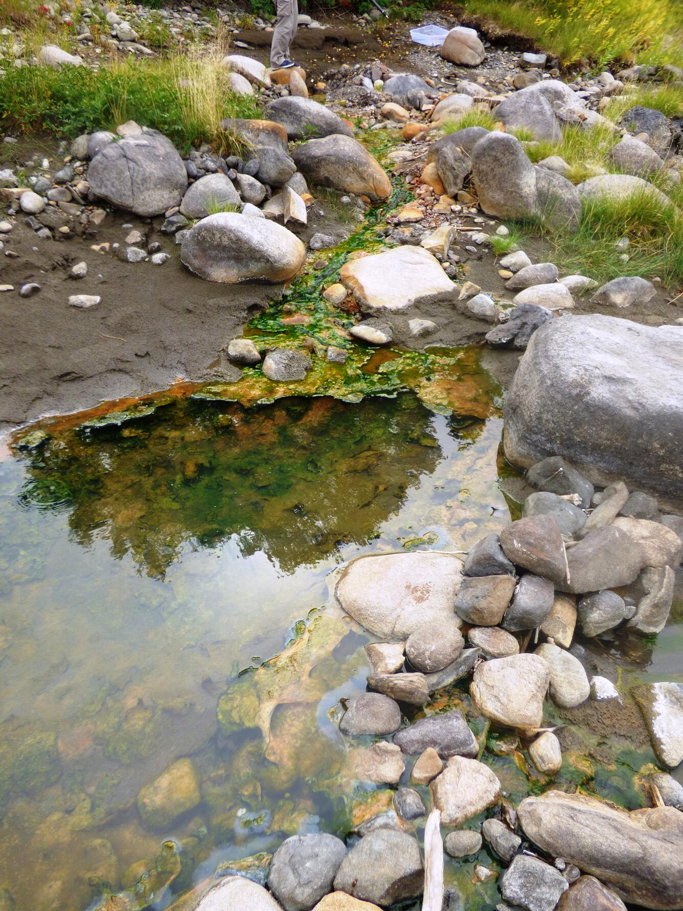 Geothermal seep that flows into Yellowstone River, LaDuke Hot Springs