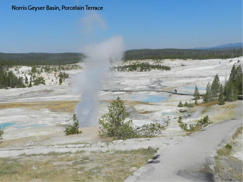 Steam vents and milky-blue silica-rich pools, Norris Geyser Basin Yellowstone