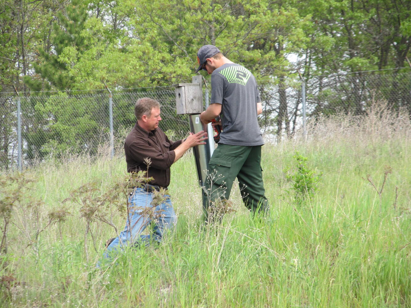 Installing nest boxes at Clarks Marsh, Michigan