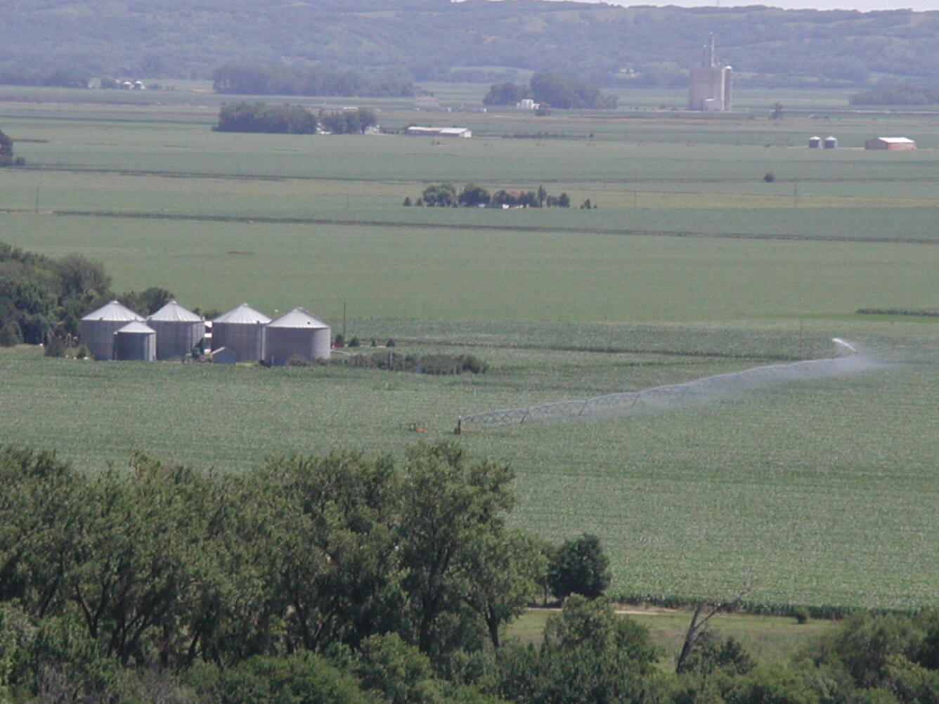 Glyphosate is frequently applied to corn and soybeans growing areas like these in Iowa