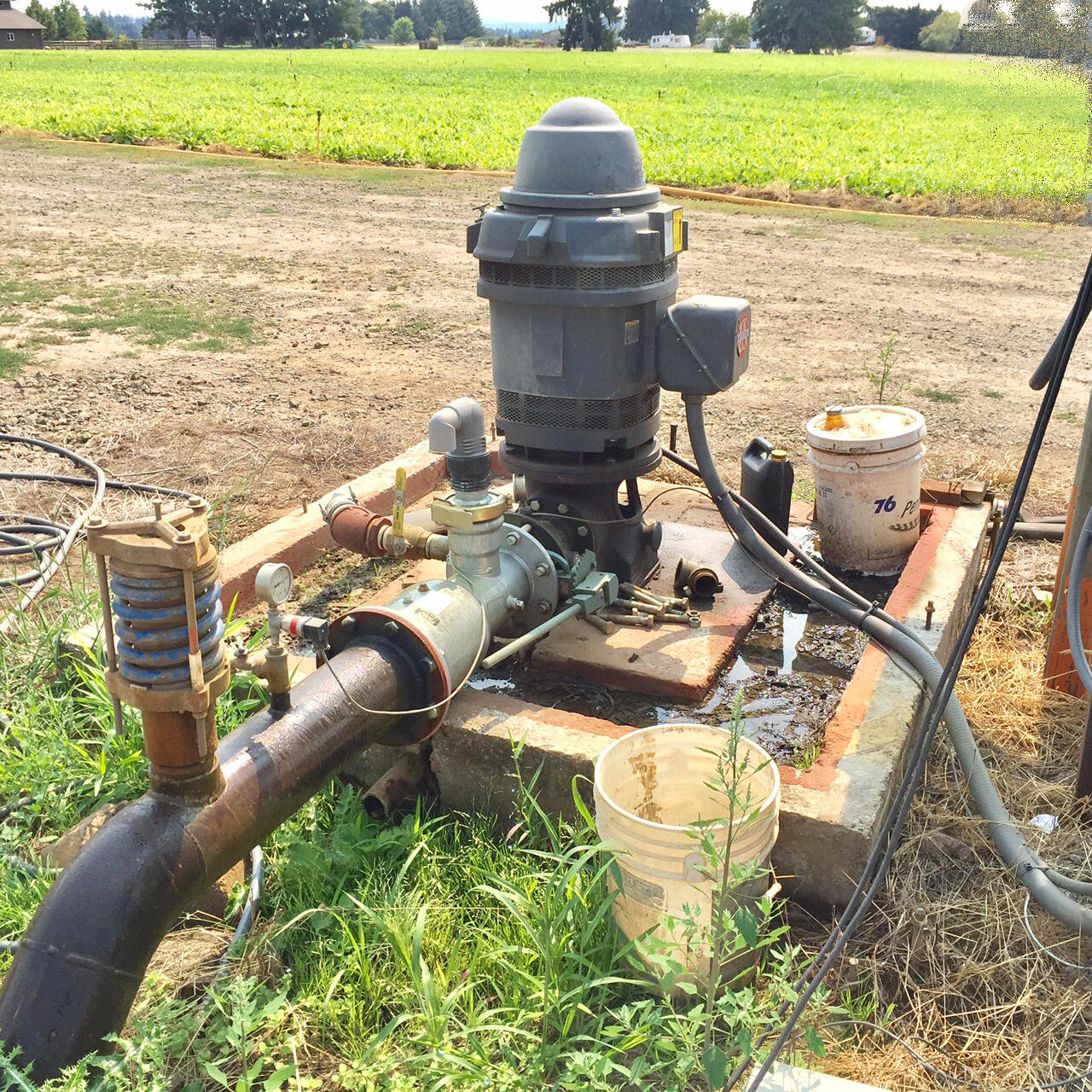 Irrigation well