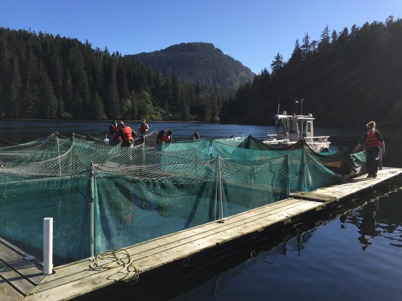 Floating net pens