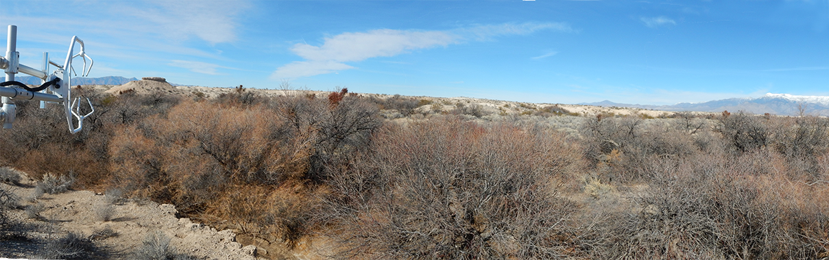 Panoramic view from evapotranspiration station at Stump Spring, Nev., January 2017
