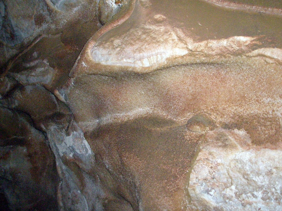 Calcite-filled cavity