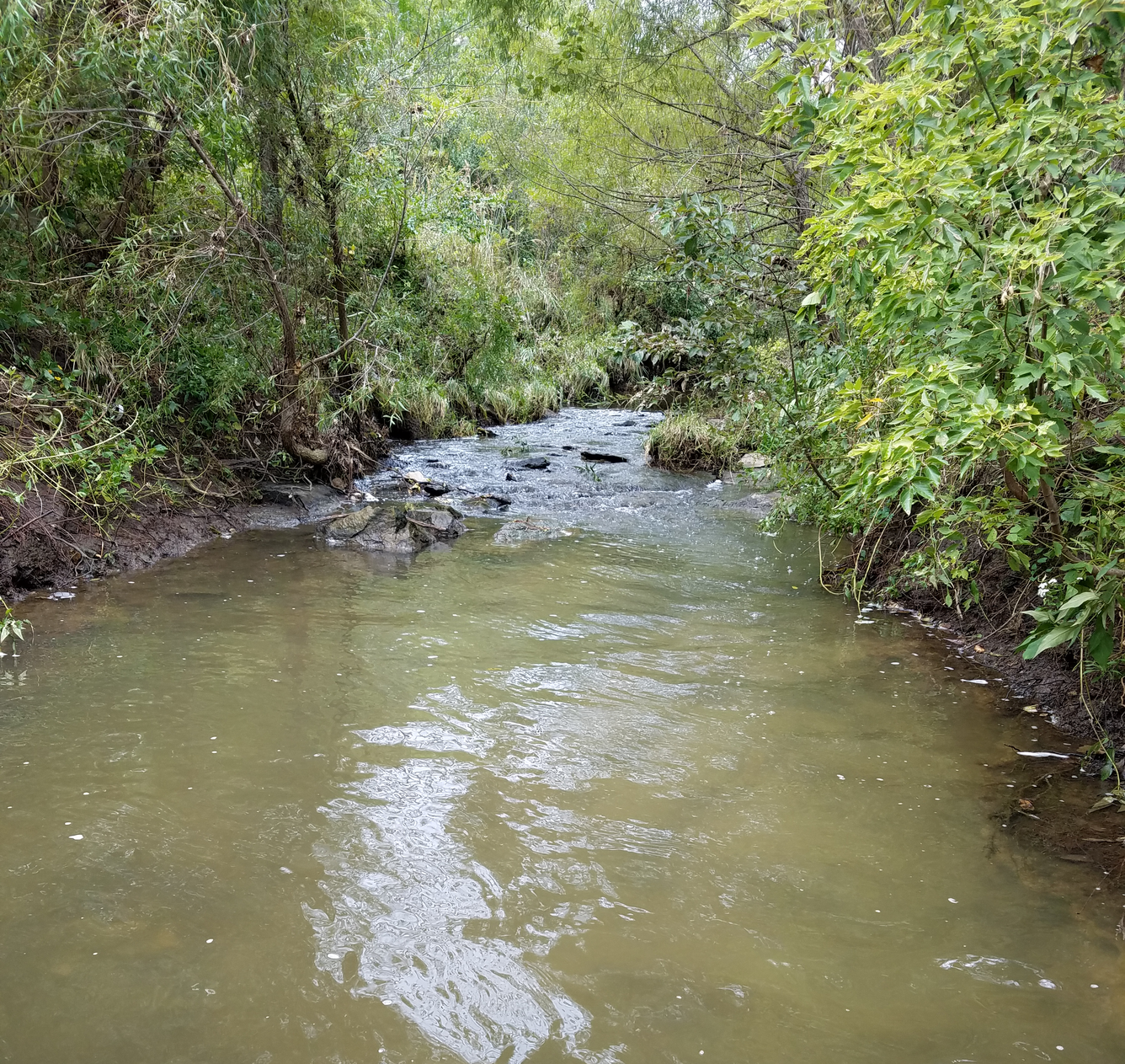 Johnson County stream