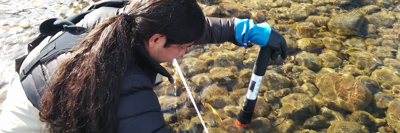 USGS scientist Ramon Naranjo examining a benthic torch at the Lake Tahoe Nearshore periphyton site
