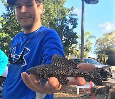 Procopio with a juvenile armored catfish