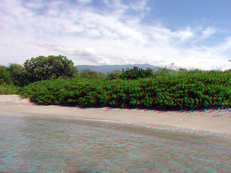 Kaloko-Honokau National Historic Park