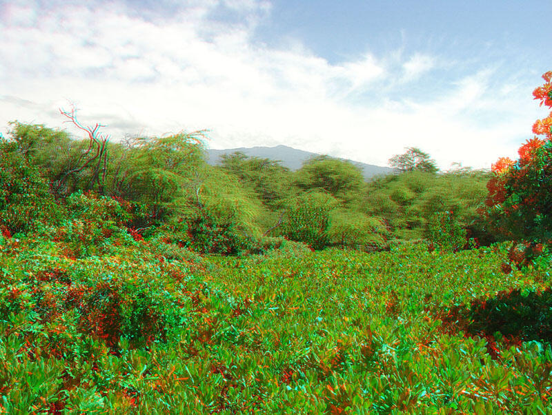 Kaloko-Honokau National Historic Park