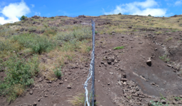 Kawela fence Moloka'i