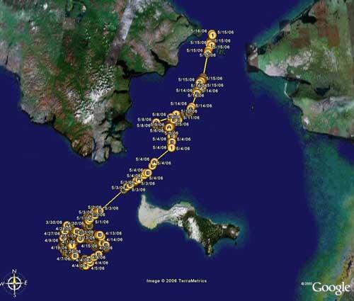 Tracking data lines on Google Earth map of the Bering Sea from the Bering Straits to past St. Lawrence Island