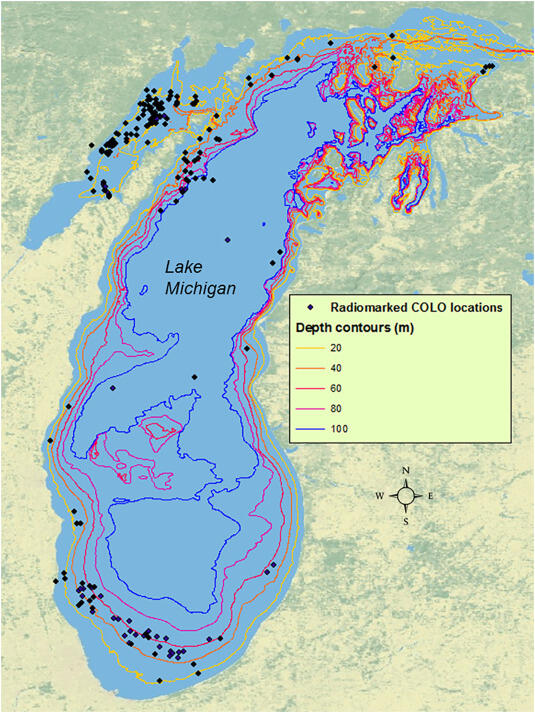 Map of upper Lake Michigan with bird movement overlays
