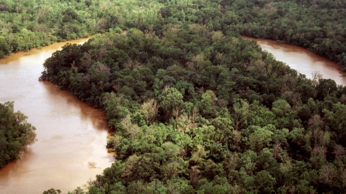 Image shows an aerial view of an oxbend in the Neches River in Big Thicket National Preserve