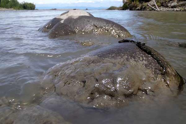 Elwha River