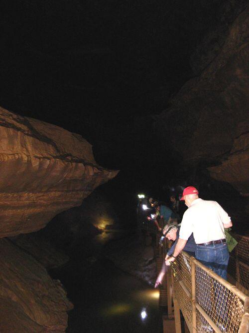 USGS scientists observe a stream located at the base of the explorable cave system in Mammoth Cave National Park.