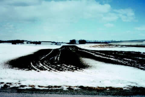 Manure on the field