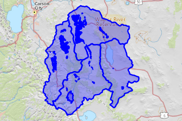Irrigated acres data, Walker River Basin, Nevada