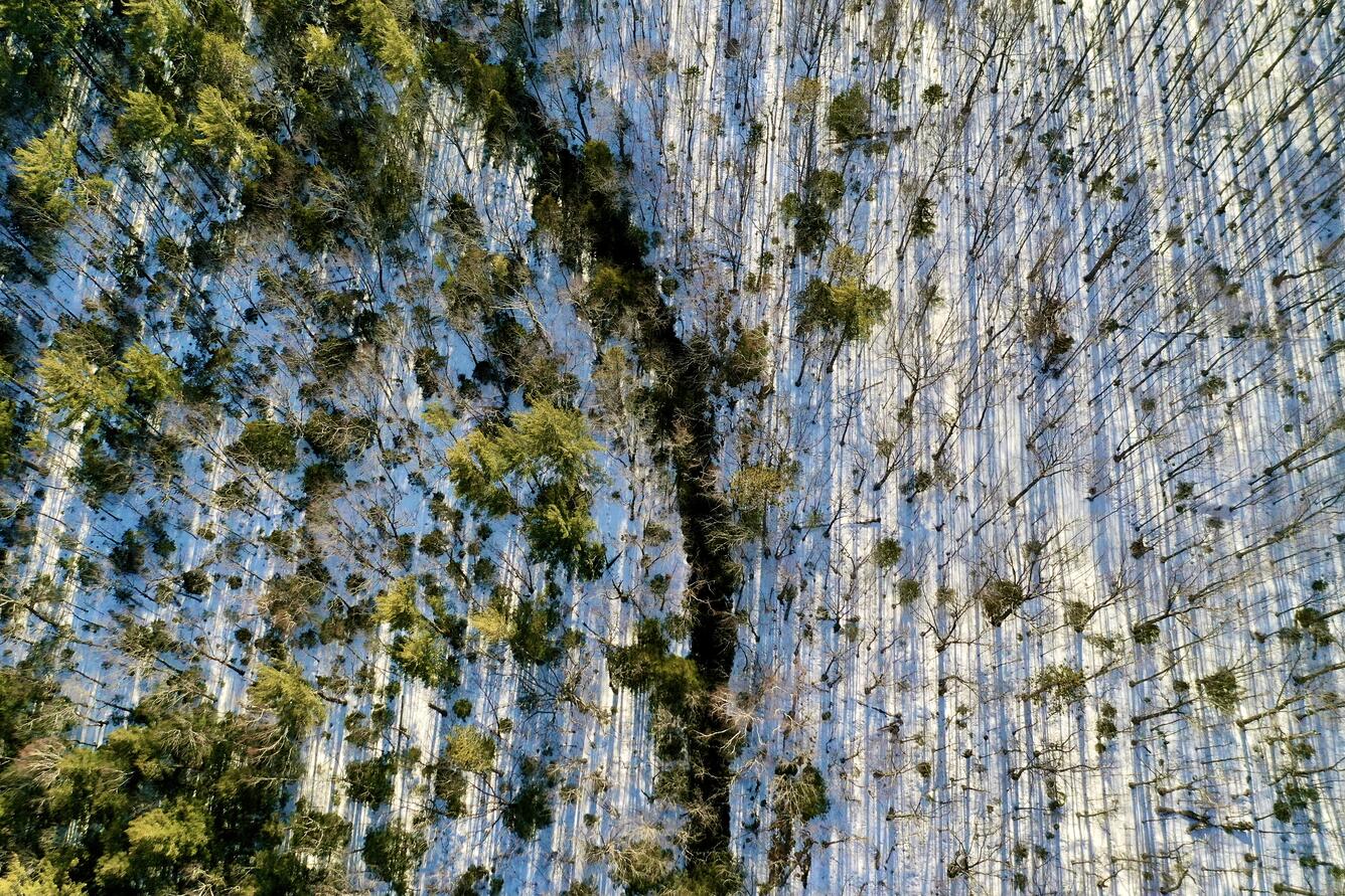 Aerial photo of Cold River in Maine