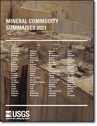 MCS 2021 cover image