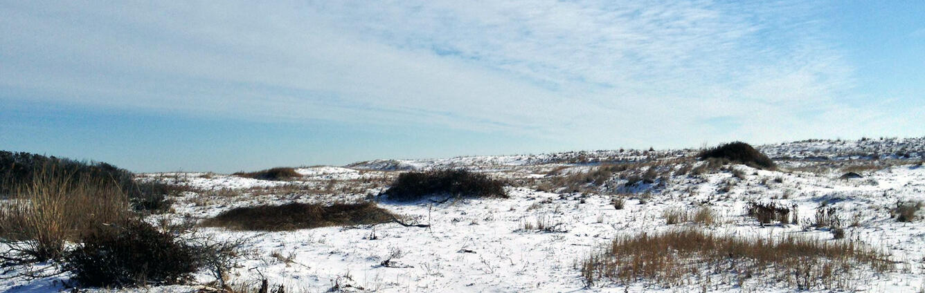 Assawoman Bay in Winter