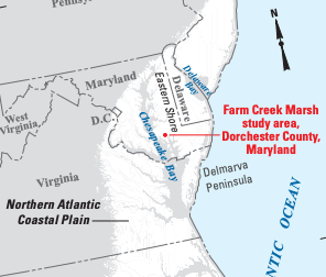 Location of Farm Creek Marsh in Dorchester County