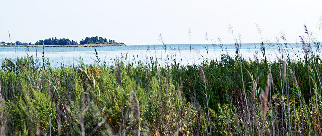 Chesapeake Bay at Edgewater, MD