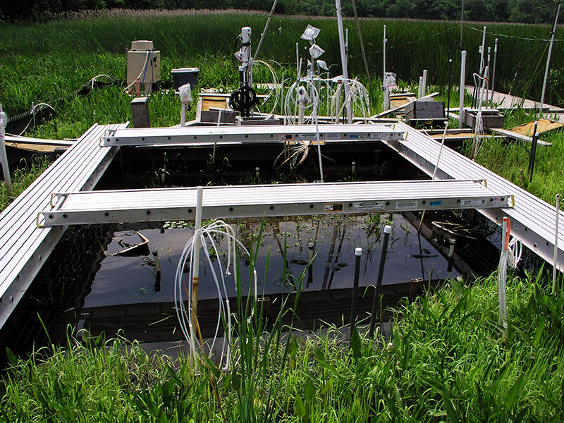 Michelle Lorah's APG Project