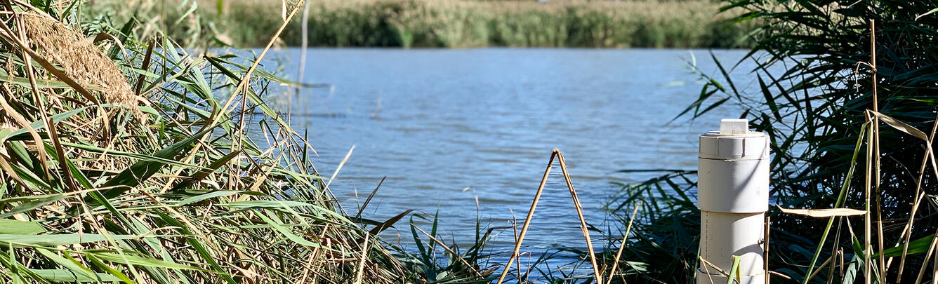Sampling Site at Easter Shore, MD