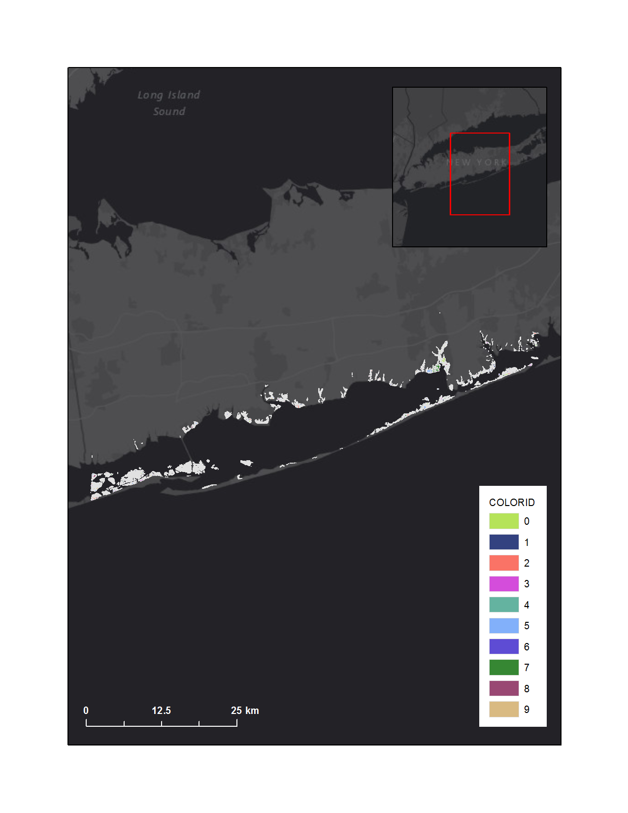 Graphic of conceptual marsh units of FIIS salt marsh complex overlaying basemap.