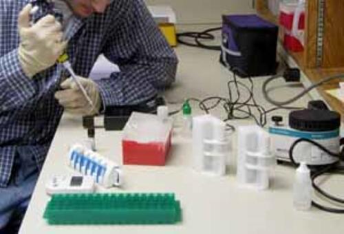 OWML - rapid method analysis