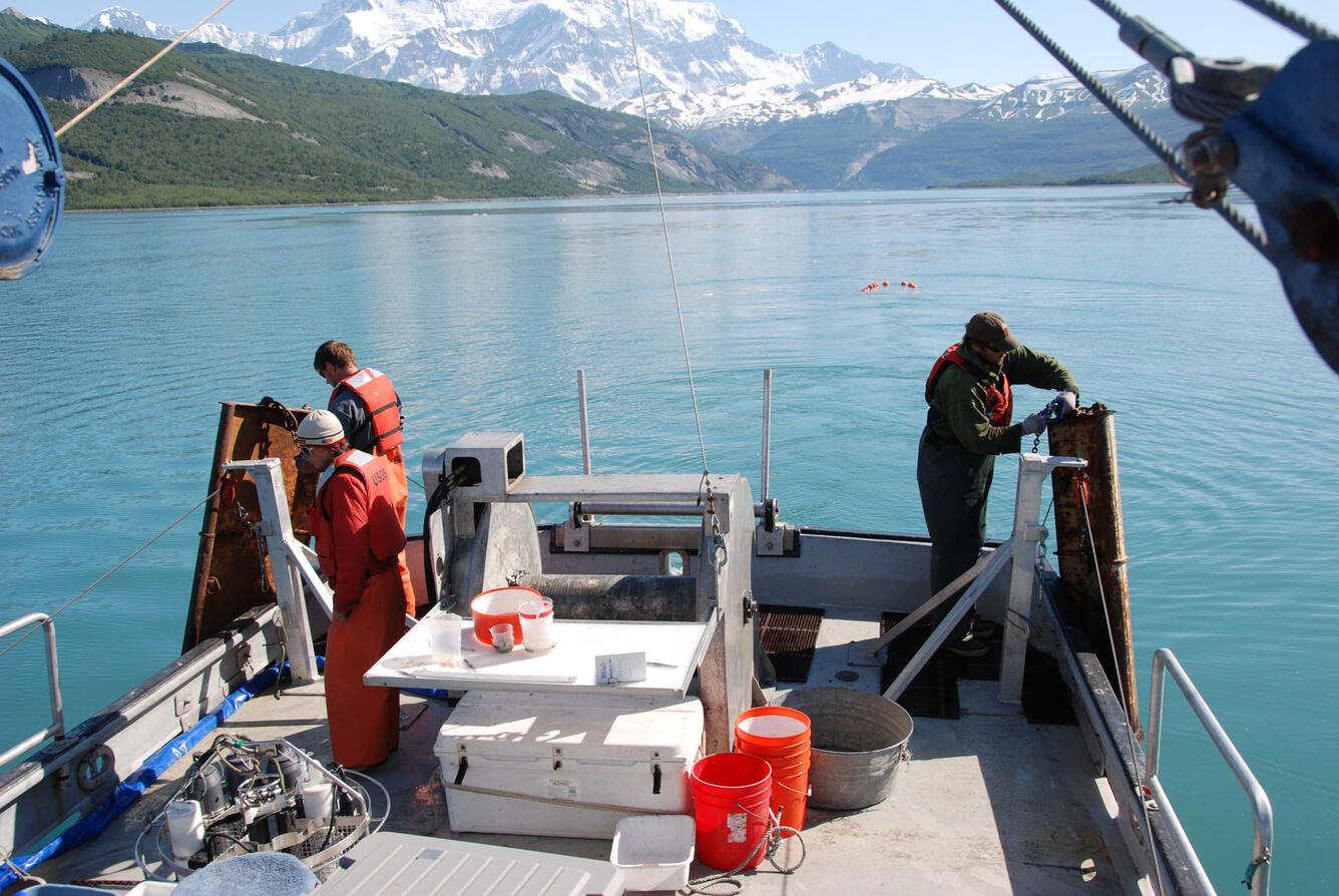 The mid-water trawl in the water behind the R/V Alaskan Gyre