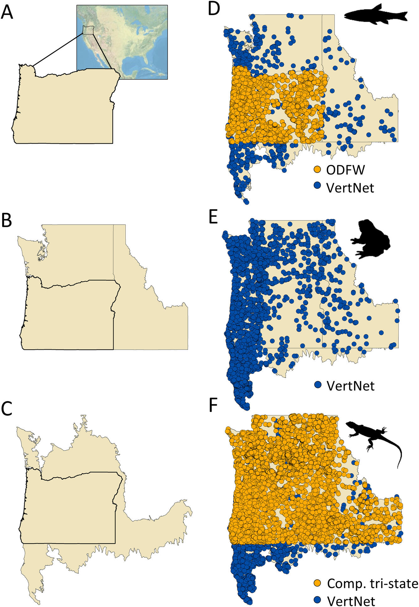 maps of Oregon, Washington, and Idaho showing occurrence data for freshwater fish, amphibian, and reptile data