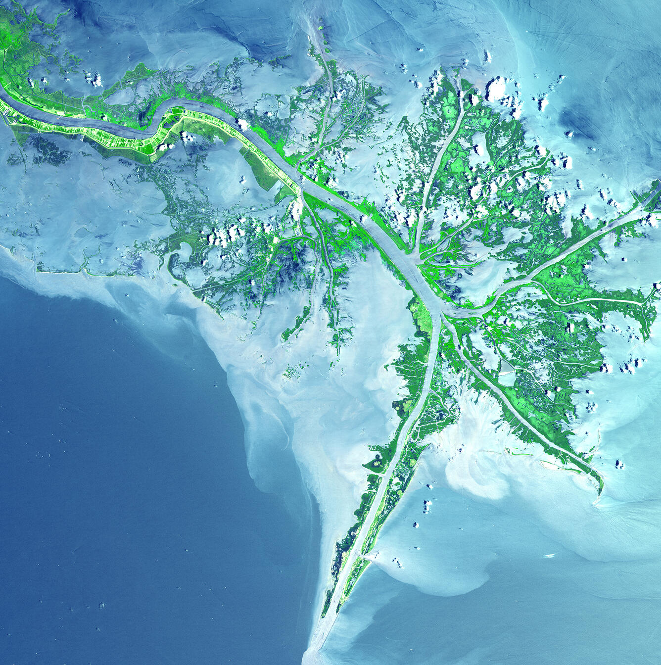 Mississippi Delta