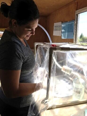 Scientist collecting water-quality samples