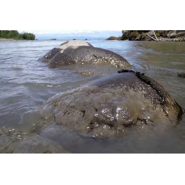Elwha River Sediment Monitoring
