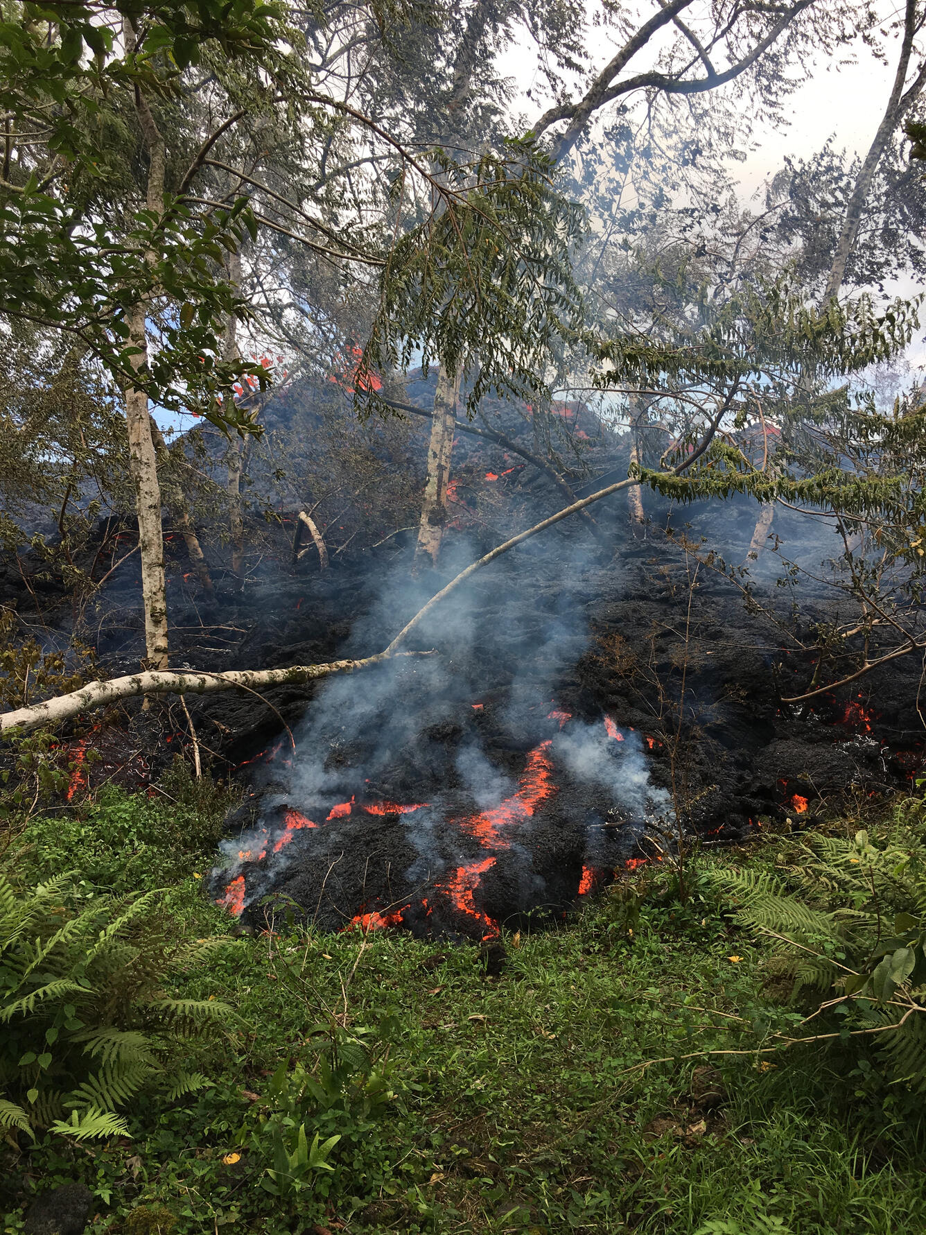 5/12/18, 12:57 p.m. HST - Lava was slowly advancing from fissure 16.