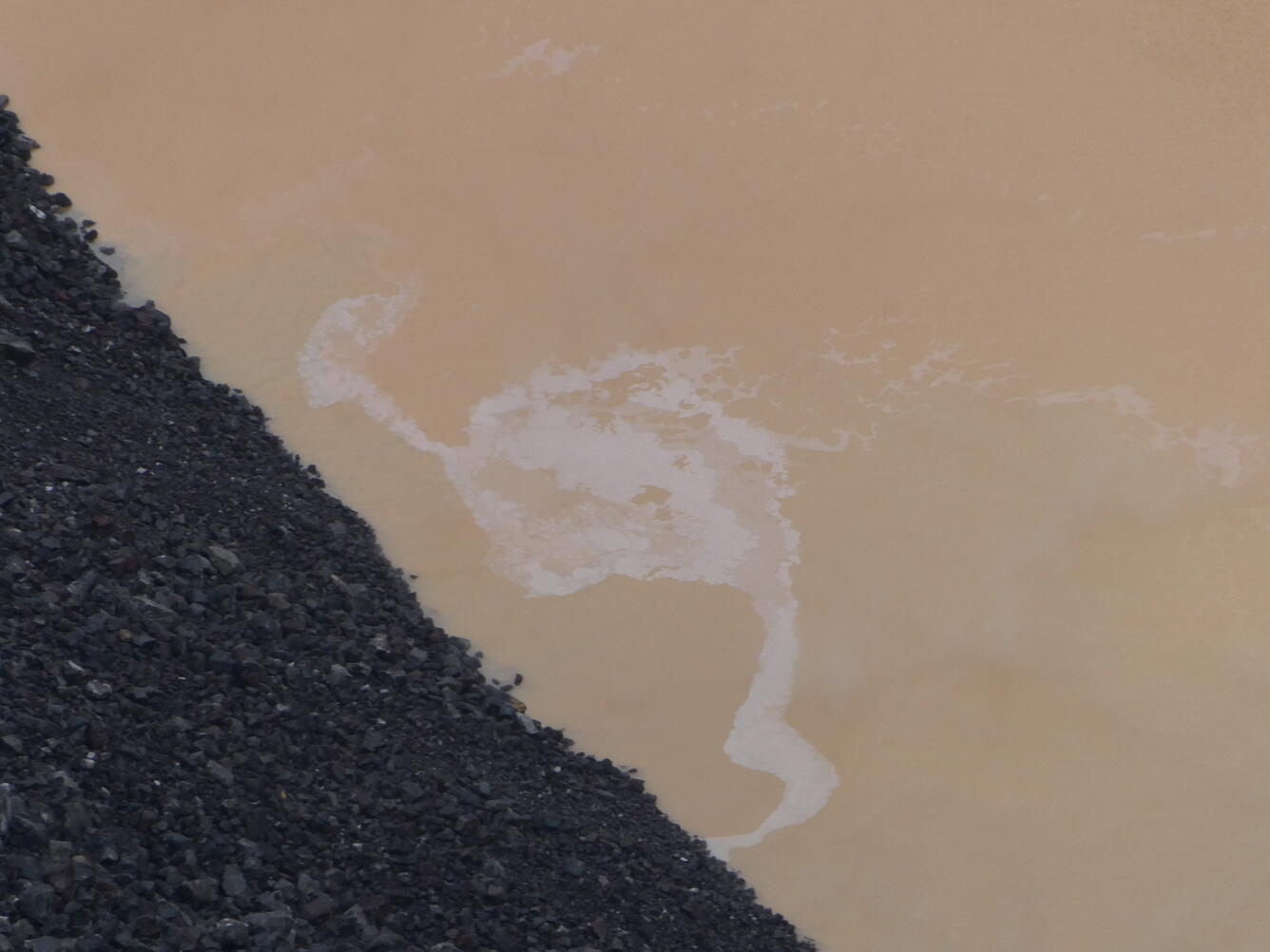 Photograph of material floating on volcanic crater lake