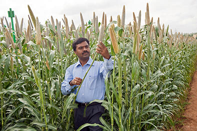 Murali Krishna Gumma thumbnail