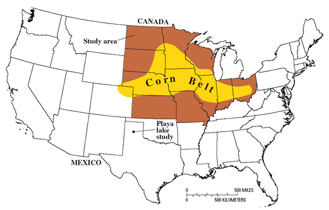 Location of U.S. Geological Survey Toxic Substances Hydrology Program study areas for triazine herbicides in the Midwestern US