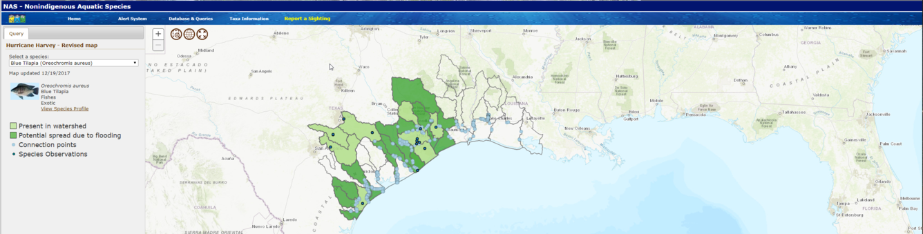Screen shot of the Nonindigenous Aquatic Species Database flood map from Hurricane Harvey