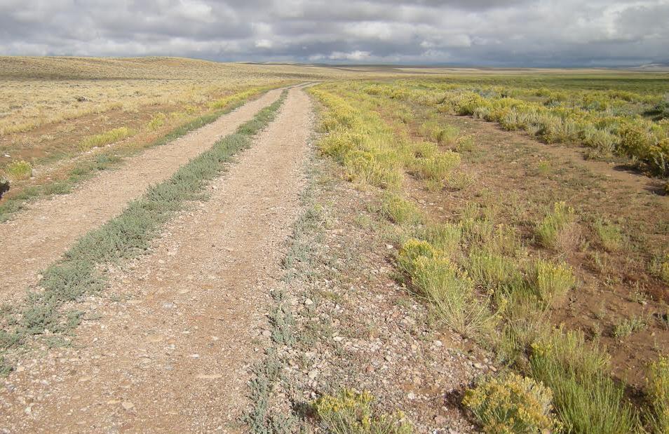 Near Big Piney