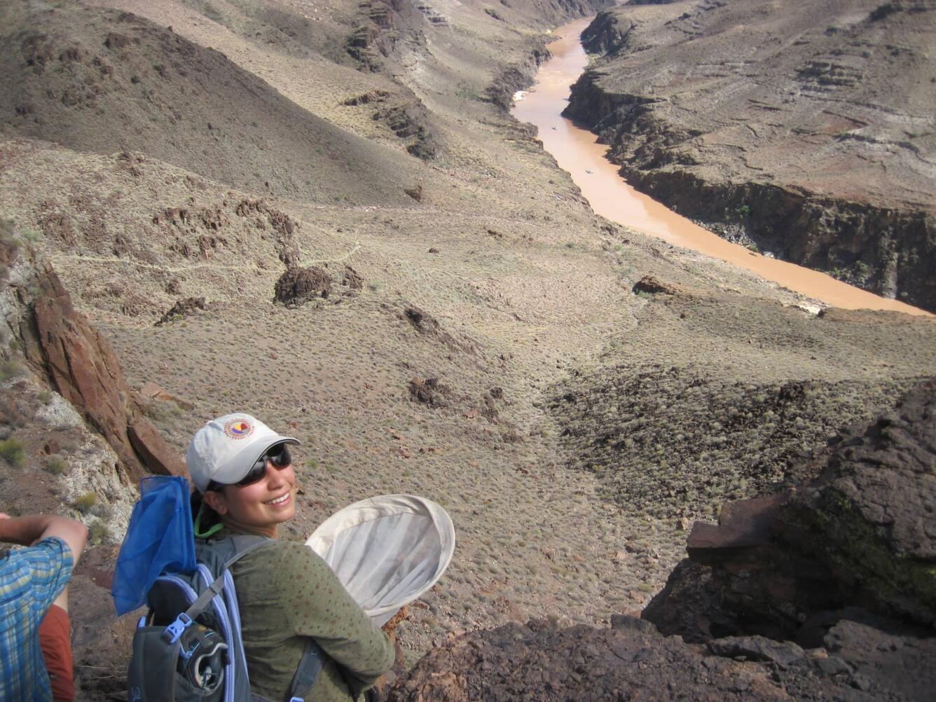 Insect collection in Grand Canyon
