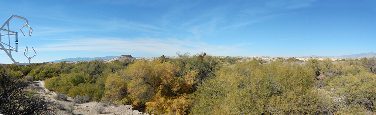 Panoramic view from evapotranspiration station at Stump Spring, Nev.