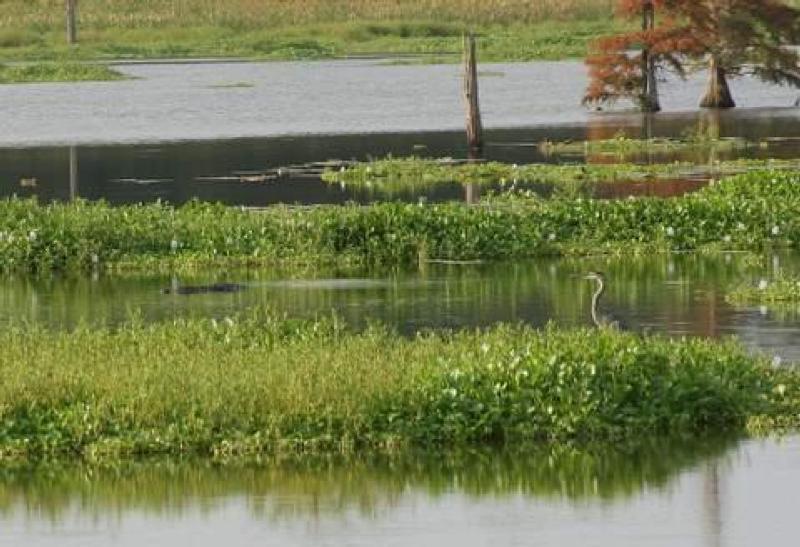 Arkansas Post National Memorial